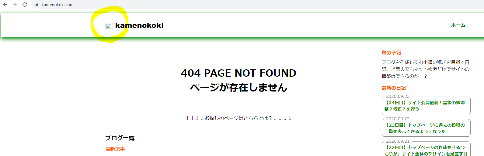 2020.09.24 そして亀もいなくなった…