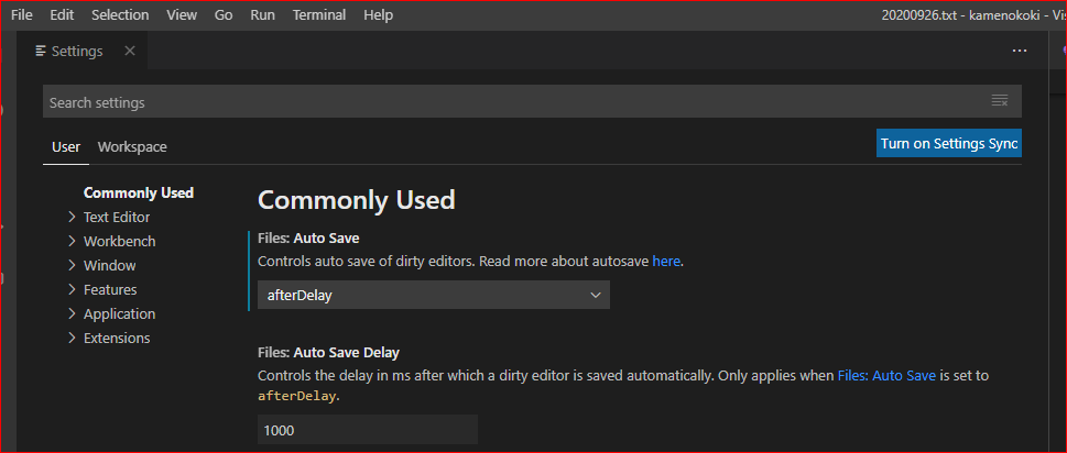 Visual Studio CodeのSetting画面